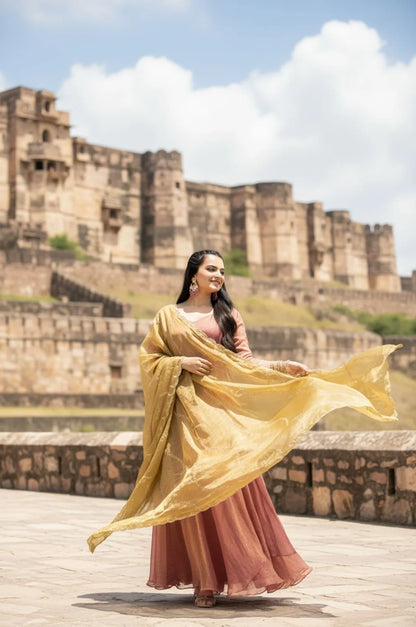 Premium Space Silk Flared Zari Embroidered Gown - Pink