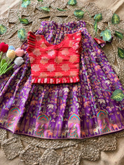 Jungle Theme Position Zari & Thread Work Kids Lehenga - Red & Purple